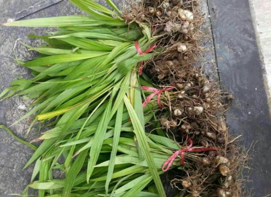 小本投资的赚钱项目有哪些,适合小本投资的八大创业项目