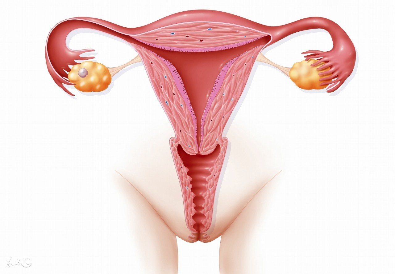 生孩子时妈妈必懂的知识,宝妈对即将生宝宝的忠告