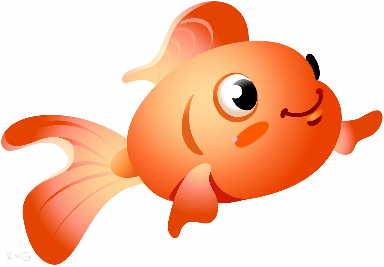 十二星座的开运宠物白羊座,12星座最适合养什么宠物