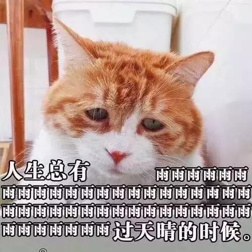 全肤质攻略秋冬到底用啥面霜,男士秋冬油皮公认最好的面霜