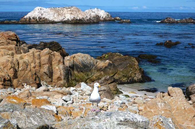 美国东海岸14日旅游攻略,美国西海岸旅游15天攻略