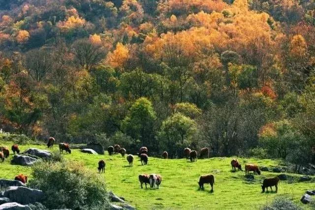 国庆冬秋双节去哪儿最好玩,国庆双节去哪里玩最好