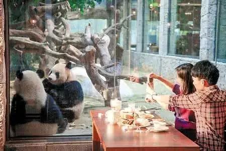 广州长隆野生动物园吃东西攻略,广州长隆野生动物园吃喝攻略