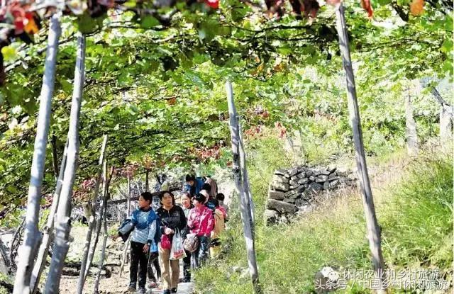 农村休闲农业17种卖点值得收藏,休闲农业与乡村美食