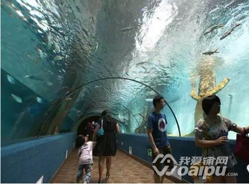 合肥滨湖新区电视塔建设,滨湖新区新项目