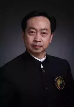 康戈武简介,康戈武太极拳