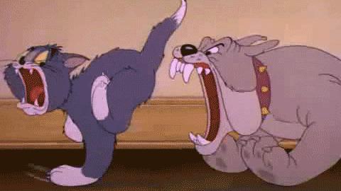 被猫爪子抓破了皮肤要打疫苗吗,被猫狗抓破皮要打疫苗吗