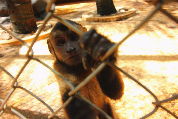 带着寻宝记游遍祖国大好河山,带着挖机去海边度假