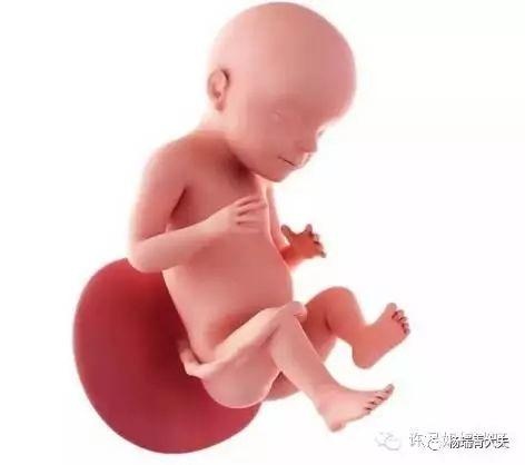 惊艳震撼的5d电影,超逼真的5d电影