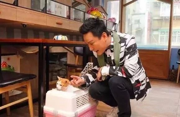 张信哲救猫,张信哲救人歌曲