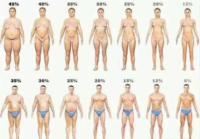 美国队长锻炼计划,美国队长倒三角教学