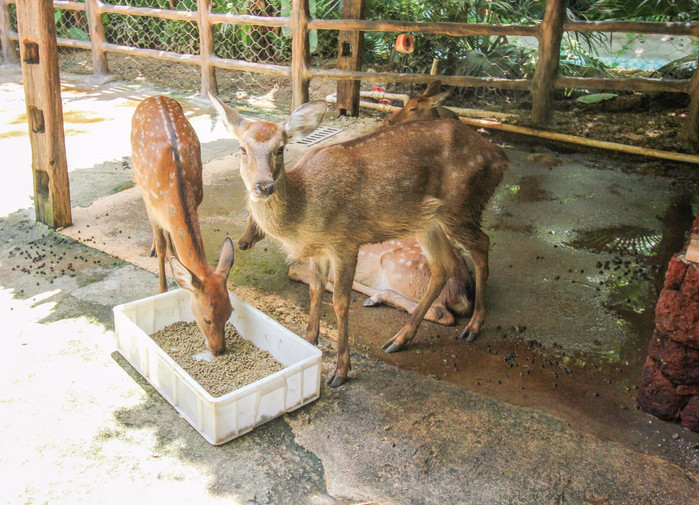 带着寻宝记游遍祖国大好河山,带着挖机去海边度假