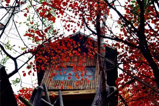 济南有露台的房子,济南恒大帝景空中别墅