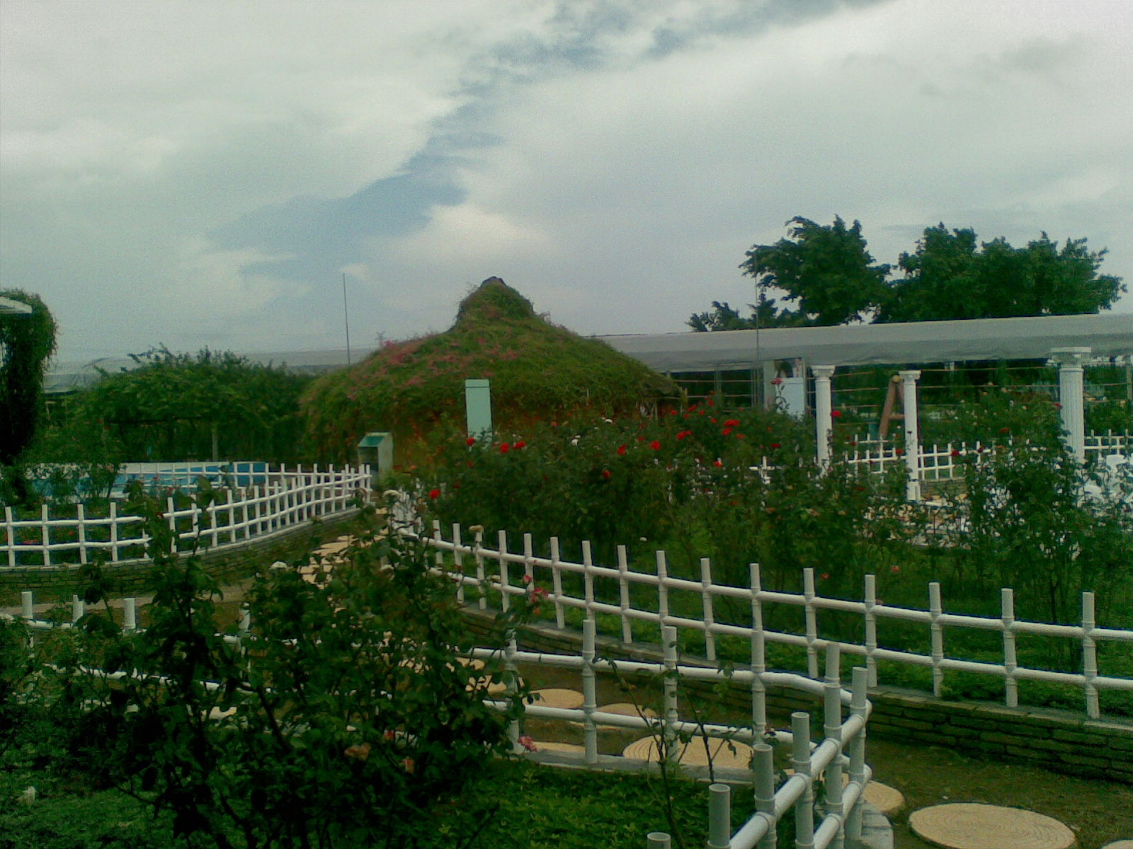 广州南沙百万葵园好不好玩,广州南沙百万葵园门票多少钱