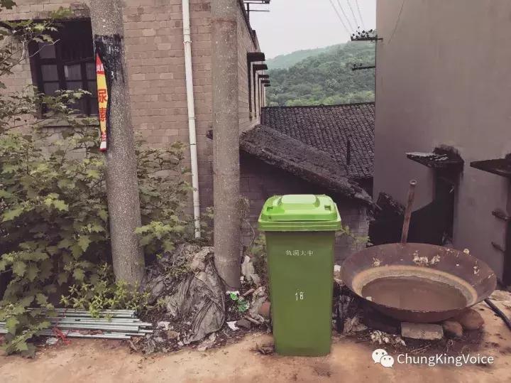 重庆桃花岛和中坝岛,重庆最大中坝岛