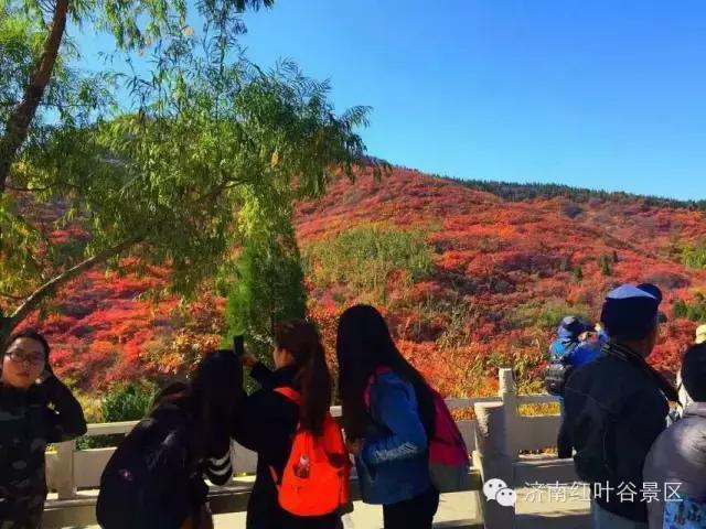 济南有露台的房子,济南恒大帝景空中别墅