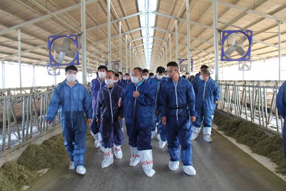 中鼎牧业获“央企基金”1.5亿元增持，背后有何隐情？