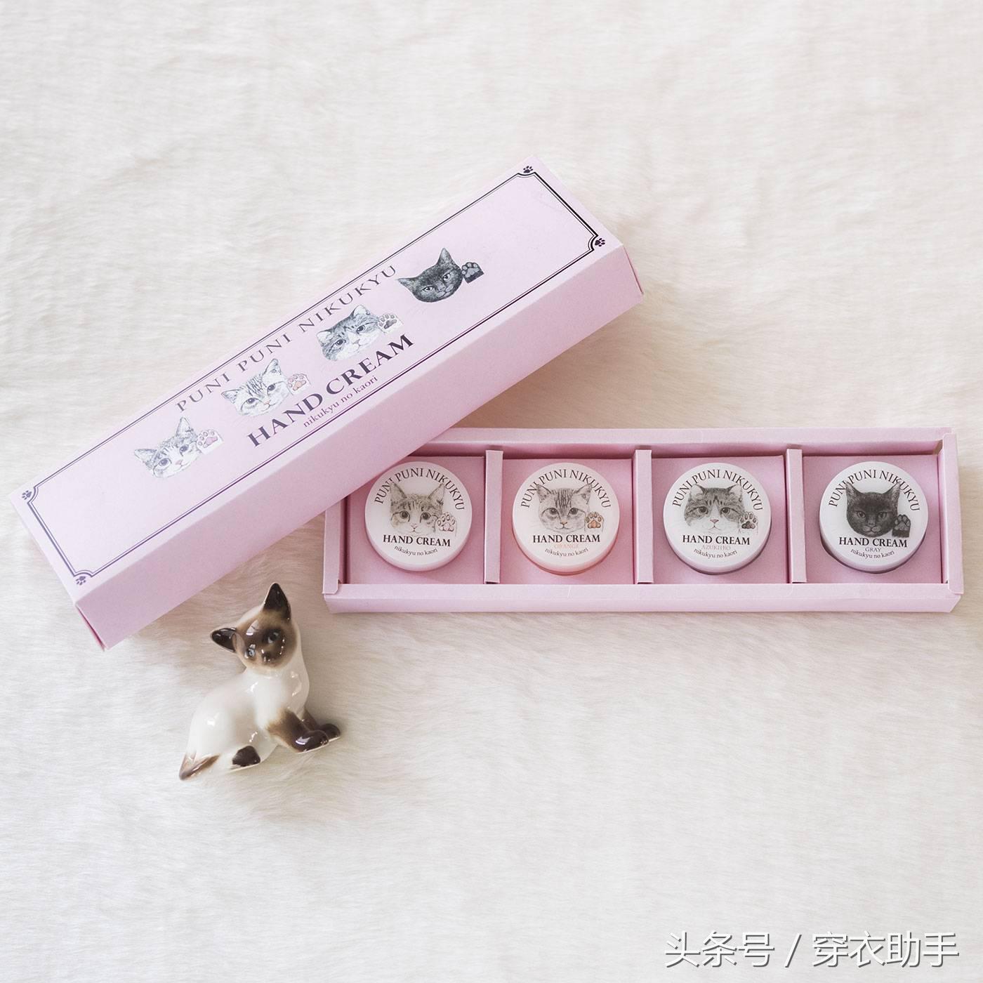 提升猫咪智商的玩具,提高猫咪的生活品质