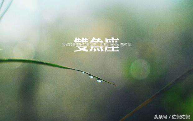 十二星座情侣配对双鱼座男,十二星座配对图片双鱼座