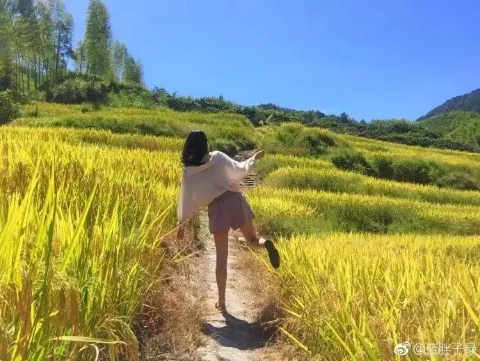 风吹稻浪黄金灿原创,风吹稻田金灿灿原文