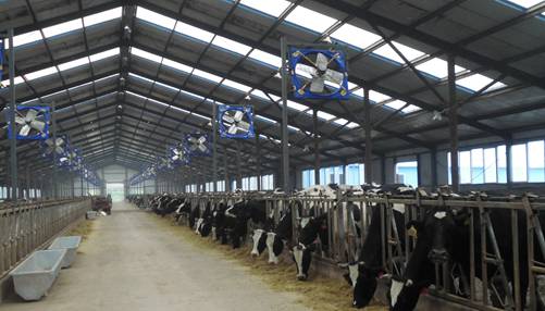 中鼎牧业获“央企基金”1.5亿元增持，背后有何隐情？