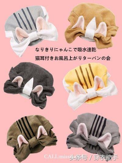 提升猫咪智商的玩具,提高猫咪的生活品质