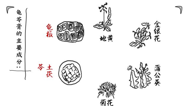 正宗的龟苓膏是用什么龟,龟苓膏上真的有龟吗