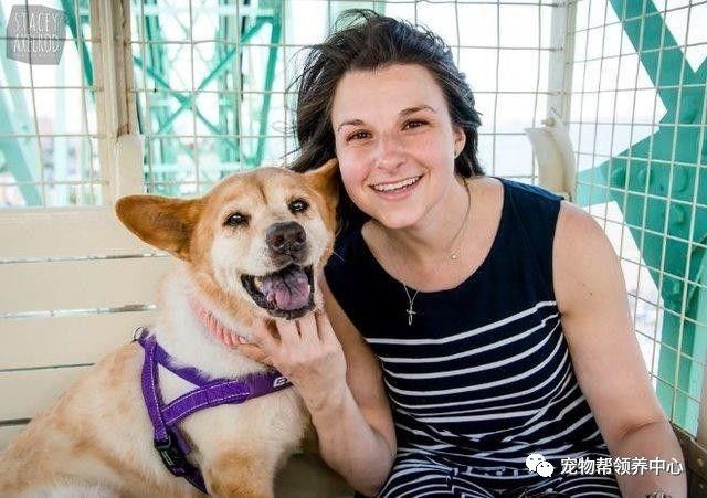 流浪狗被抛弃后又不幸得重病,流浪狗生病被救助