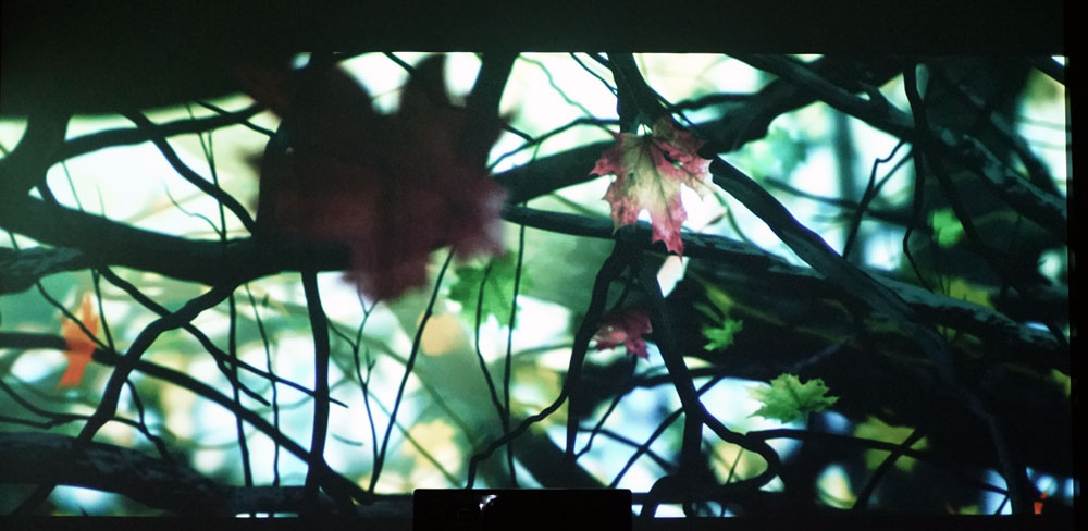 马兰士5012功放测评,马兰士sr5010与5012功放区别