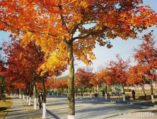 久违了,我的桂林电子科技大学!