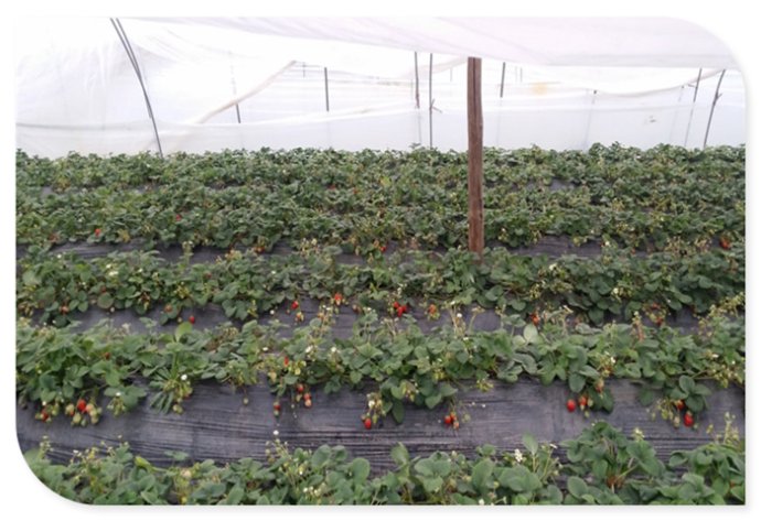 长安区马王镇新庄村,西安市古村古镇