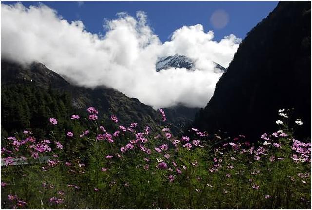 珠穆朗玛峰西坡大本营海拔多少,海拔最高的山峰是珠穆朗玛峰