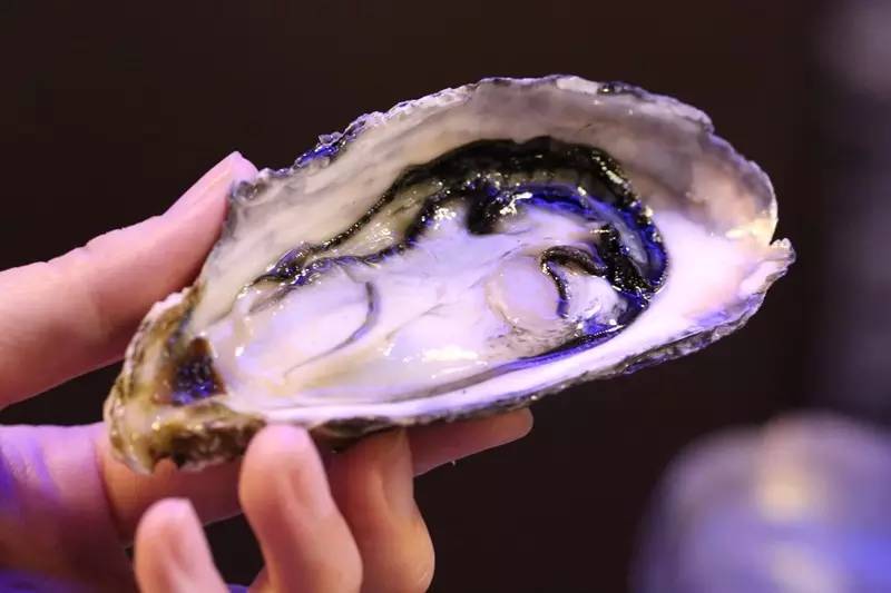 这里可能是唯一能够满足你吃到巨无霸海鲜和偶遇Runningman的地方了！