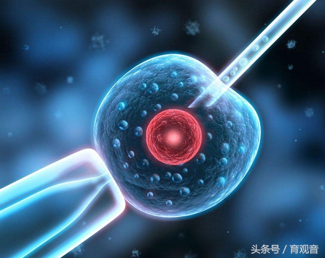 宝妈想要孩子？人工授精复杂？（叫你老公也进来，别以为没关系）