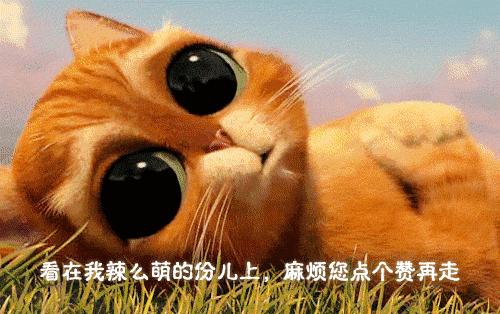 一周400分析:逸品紫晶再夺冠实现三连霸