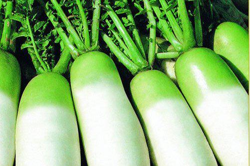 冬天减肥吃哪些食物瘦得快,冬季怎么减肥最快最有效