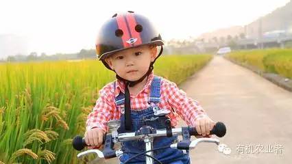 曾经结伴同行,曾经一起走过的路图片