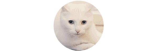 怎么邀请喜欢的人看电影,怎么邀请对象一起看电影