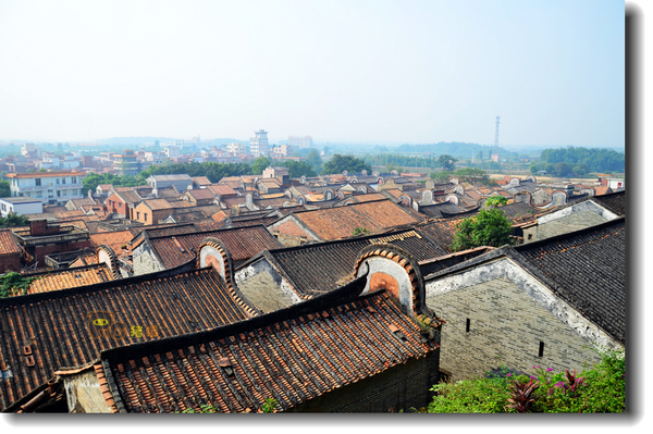 十二道锋味谢霆锋潮汕牛肉,十二道锋味隆苑咖啡谢霆锋