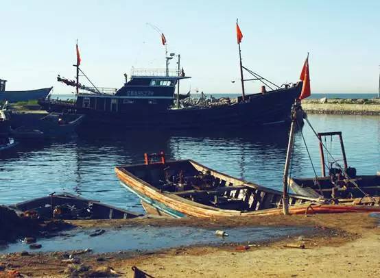 渤海湾有哪些海钓平台,渤海最干净的沙滩