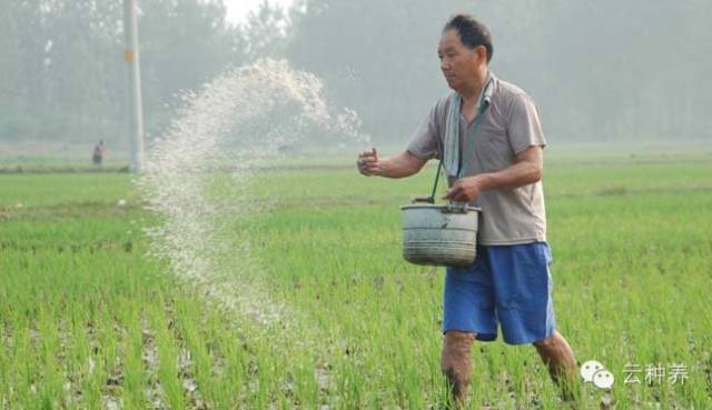 化肥购买陷阱,化肥骗局新套路