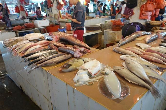 带你认识汕尾,你认识的汕尾