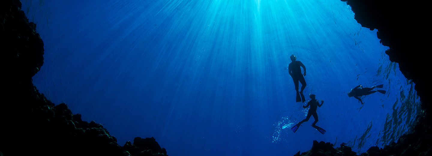 听养生健康讲座,听健康养生讲座