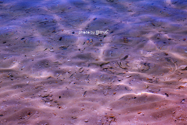 沙巴4天自由行攻略 (沙巴5天之旅)