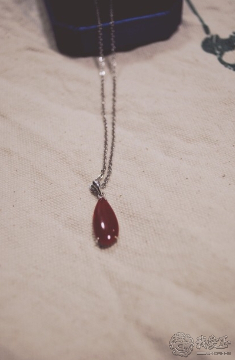 红珊瑚介绍,真正的红珊瑚是什么样的