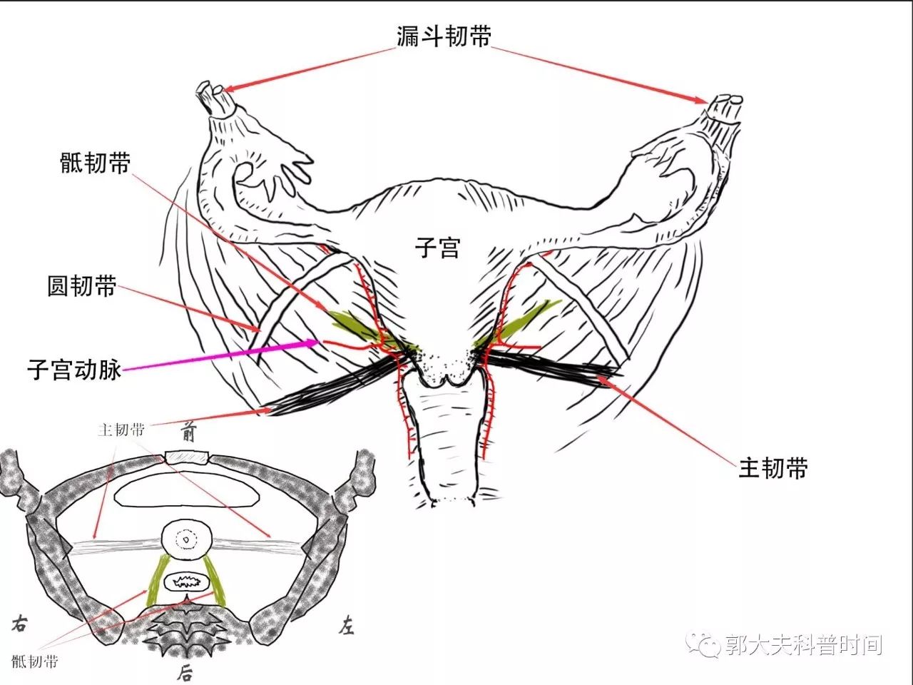 同样是子宫切除，切多一点，切少一点，区别是很大的！