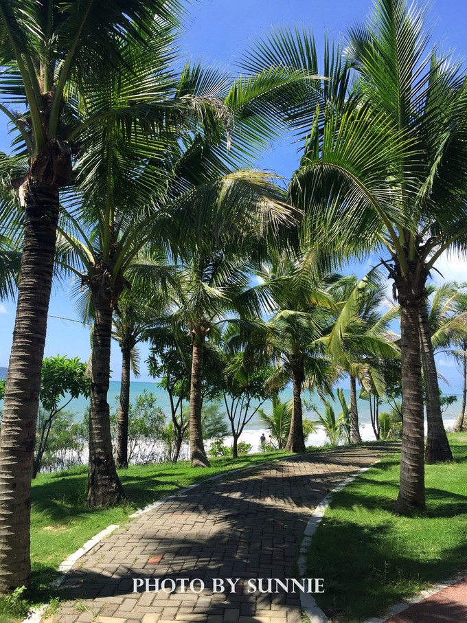 北纬十八度之三亚,北纬18度的旅行三亚游记