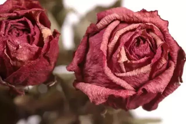 阿玛尼什么颜色口红最好用显白,李佳琦推荐适合秋冬的显白口红