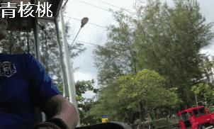 刷我滴卡泰国原版,呼和浩特直飞普吉岛