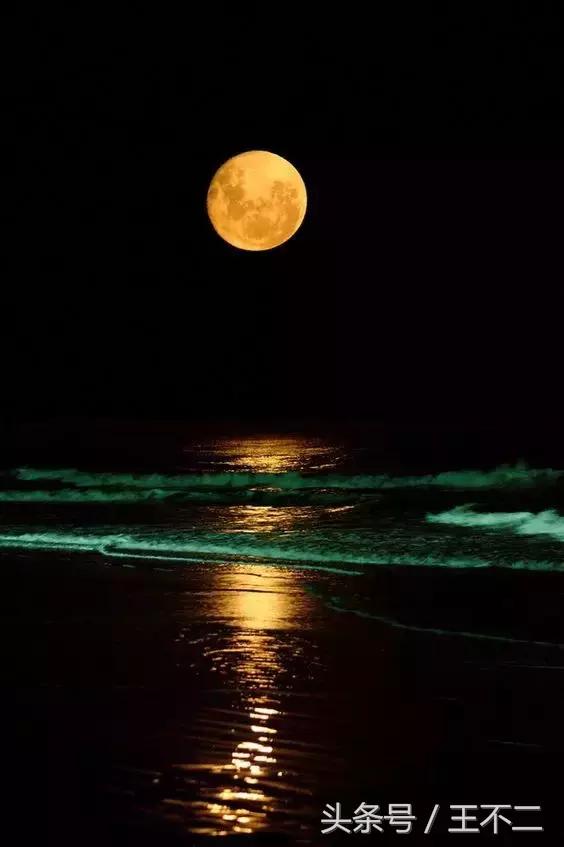 脑洞有多大故事,脑洞有多大想象就有多丰富